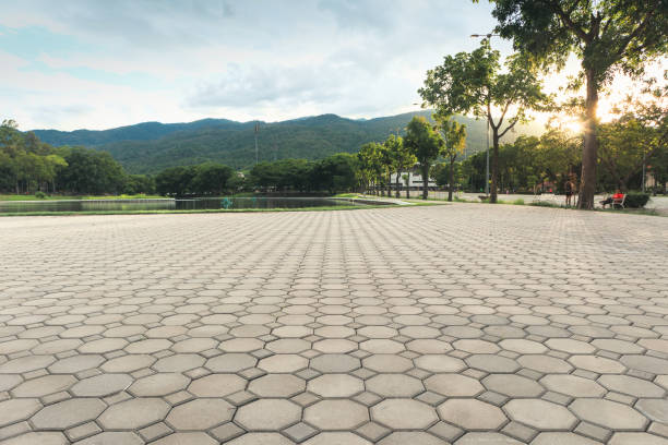 Best Residential Driveway Paver Services  in Redwater, TX